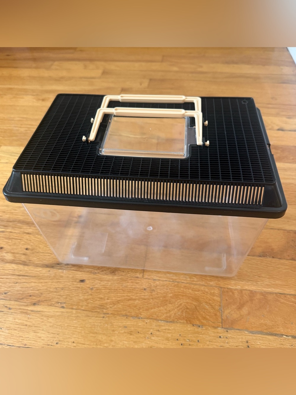 Clear Plastic Critter Keeper / Portable Reptile & Insect Habitat